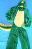 Kids Costumes to Hire - Dragon Child Onesie